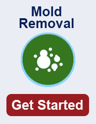 mold remediation in Glendale TN